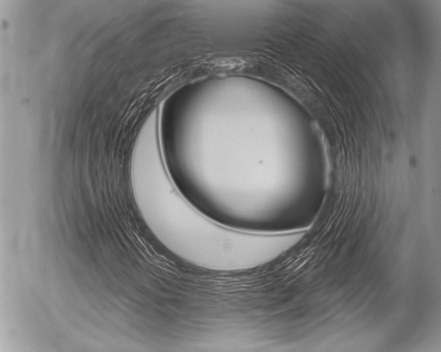 X0000056331394200508260814