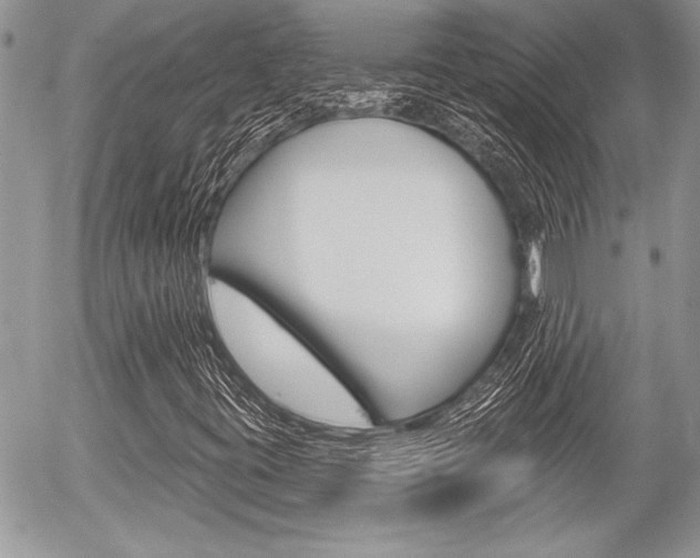 X0000056331395200508260814