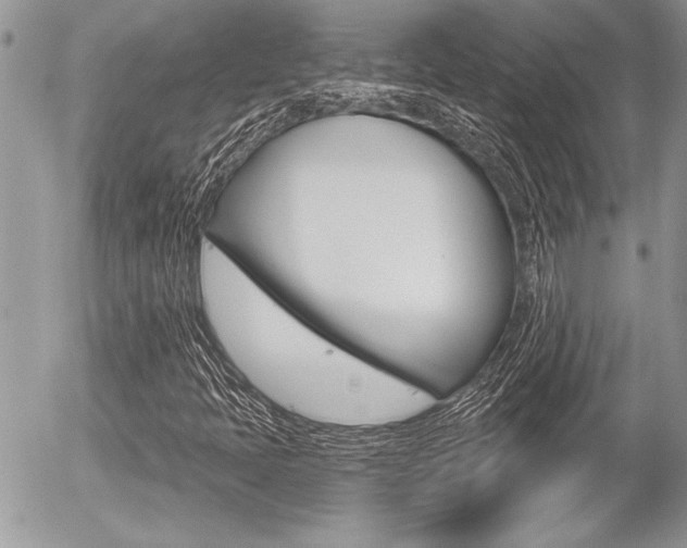 X0000056331397200508260814