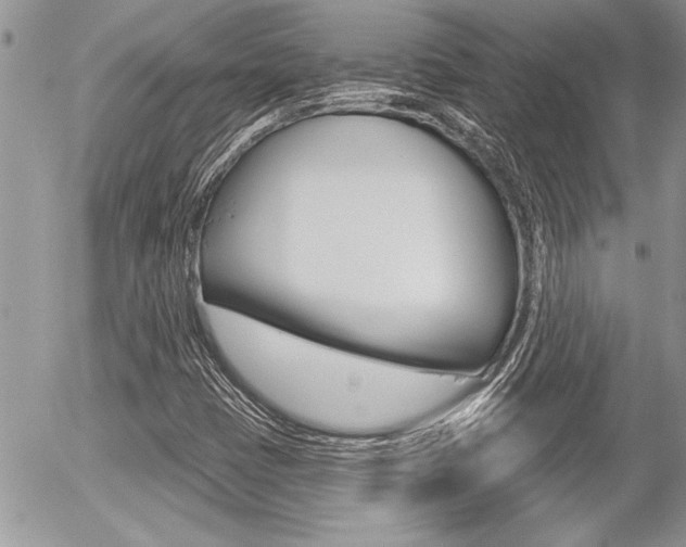 X0000056331401200508260814