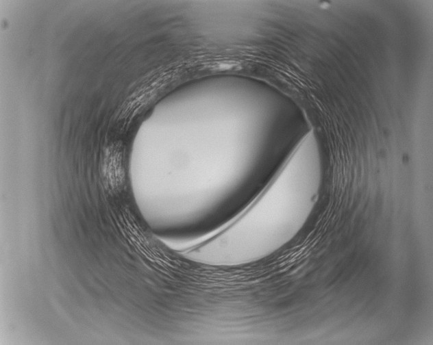 X0000056331442200508260814