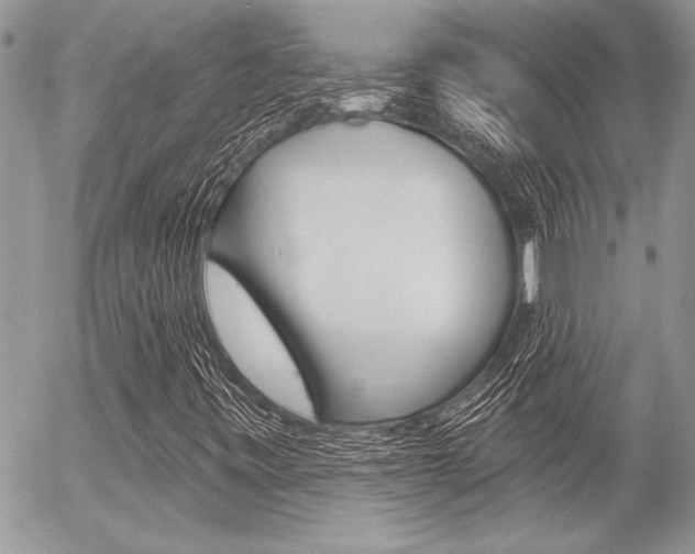 X0000056331443200508260814