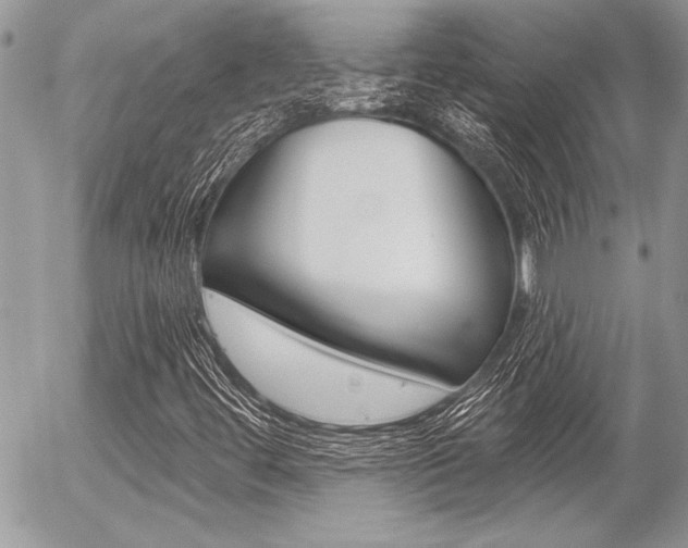 X0000056331444200508260814