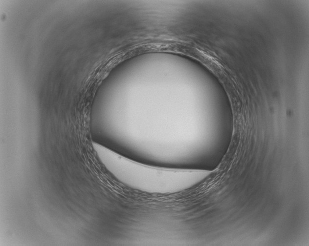 X0000056331447200508260814