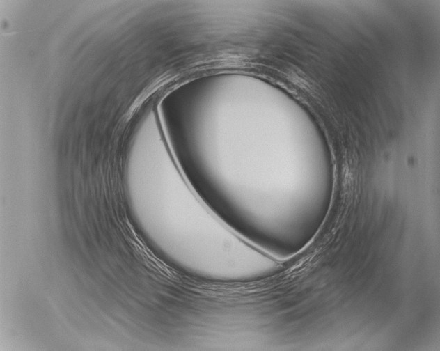 X0000056331450200508260814