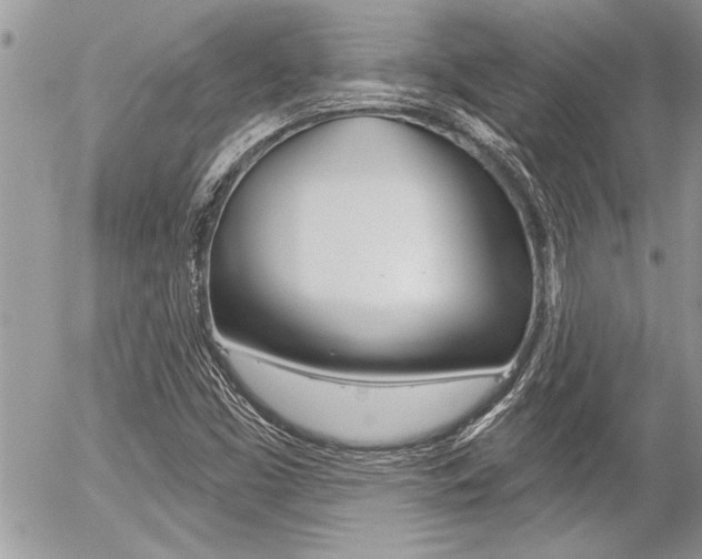 X0000056331453200508260813