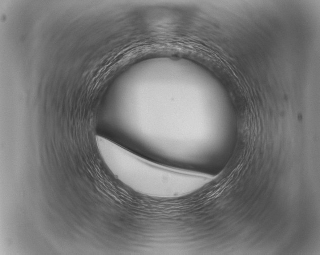 X0000056331490200508260812