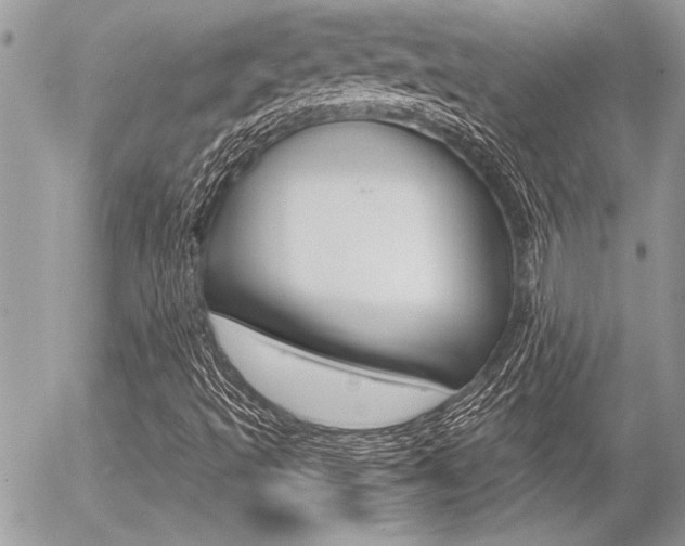 X0000056331493200508260812