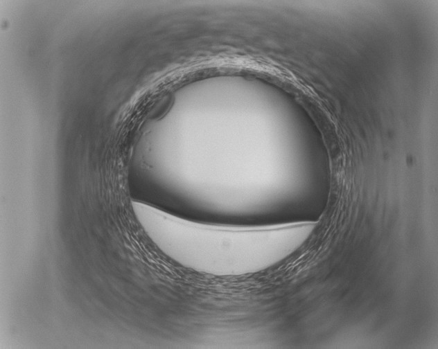 X0000056331495200508260812