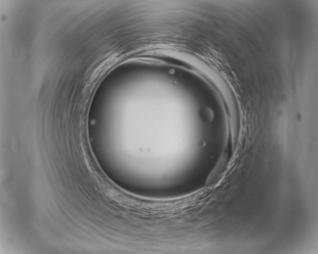 X0000056330001200508261232