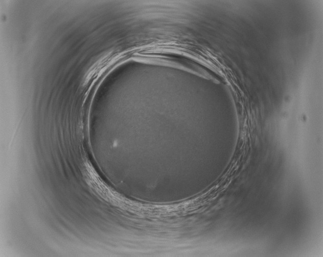 X0000056330002200508261232