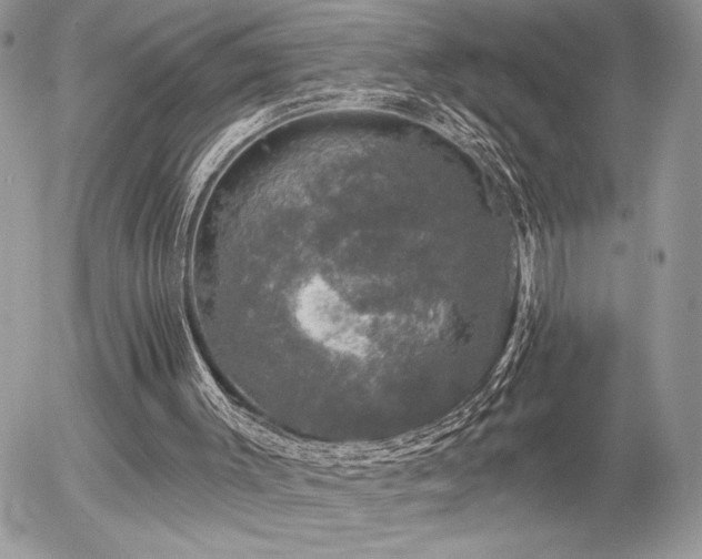 X0000056330003200508261232