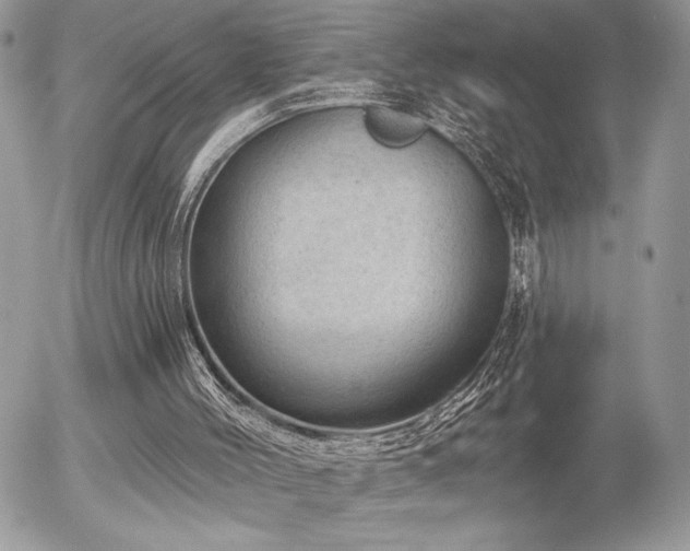 X0000056330004200508261232