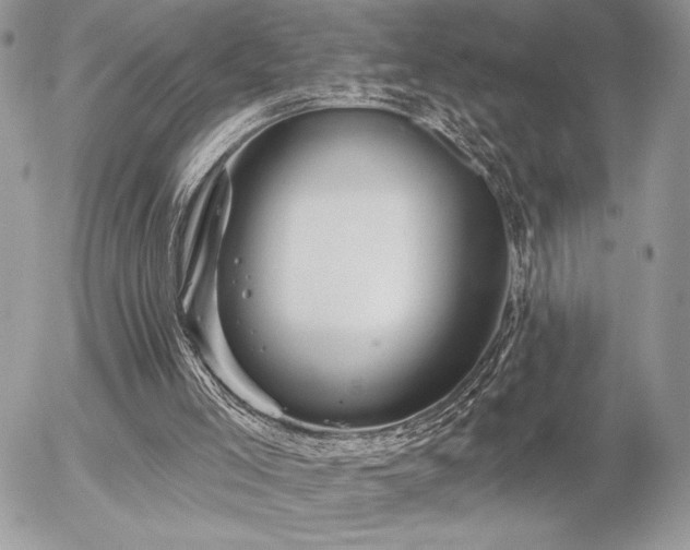 X0000056330005200508261232