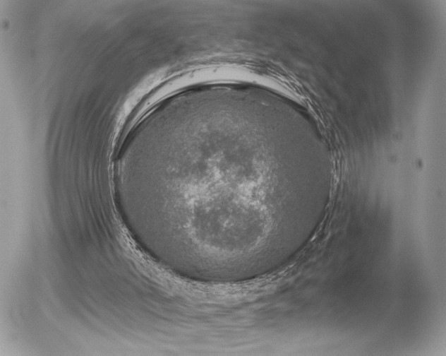 X0000056330006200508261232