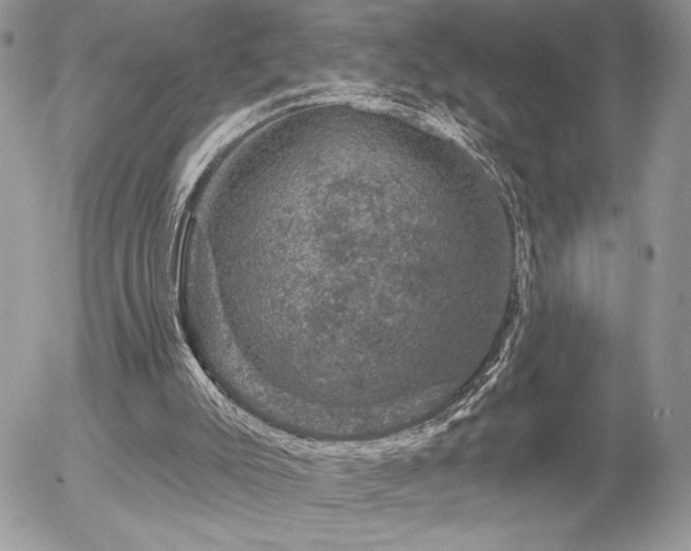 X0000056330007200508261232