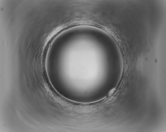 X0000056330008200508261232