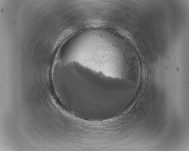 X0000056330010200508261232