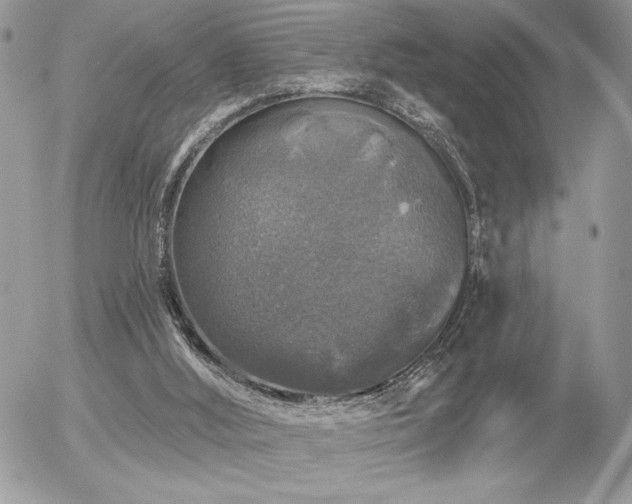 X0000056330012200508261232