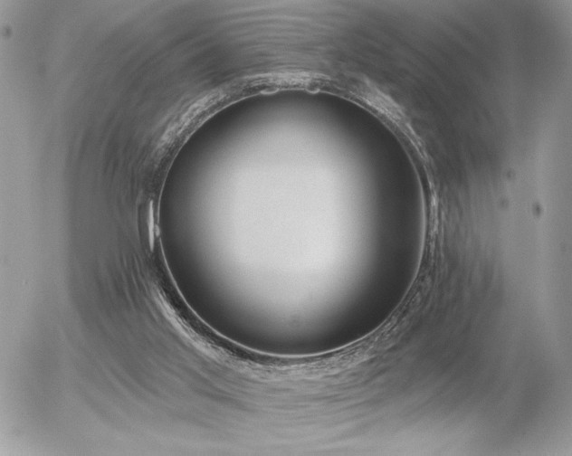 X0000056330013200508261232