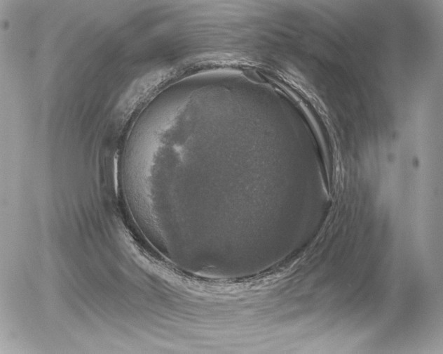 X0000056330014200508261232