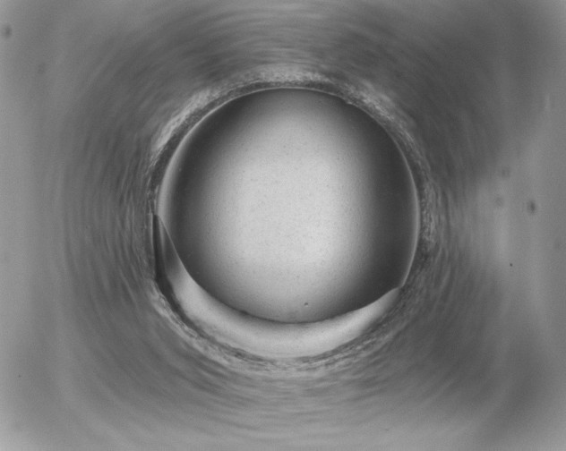 X0000056330015200508261232