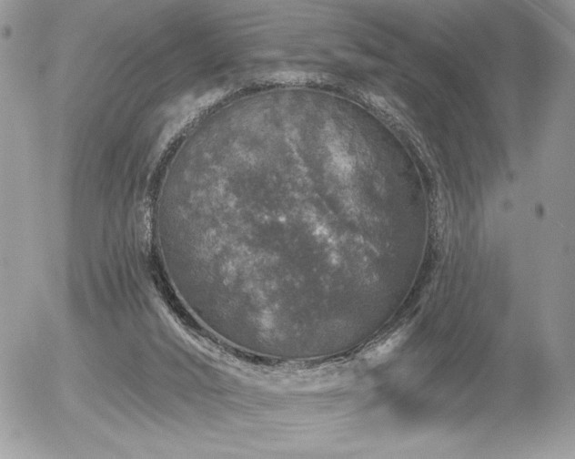 X0000056330016200508261232