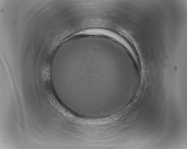 X0000056330017200508261232