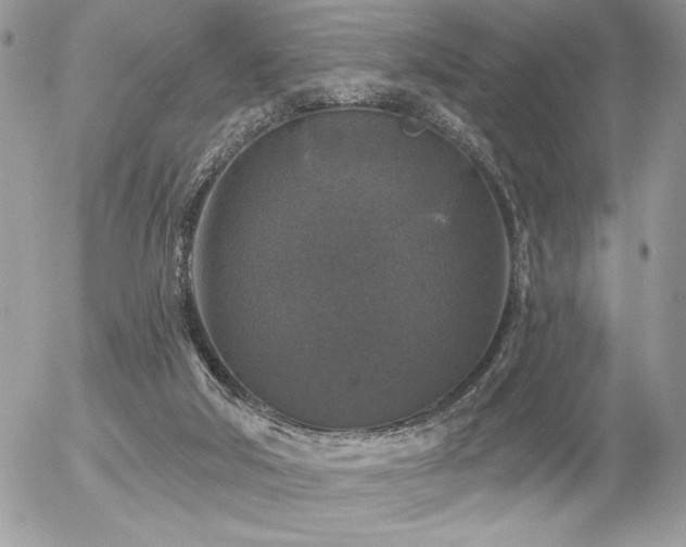 X0000056330018200508261232