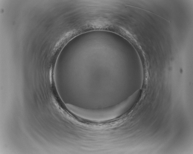 X0000056330019200508261232