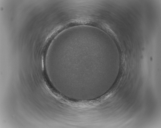 X0000056330020200508261232