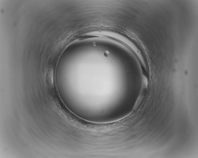 X0000056330021200508261232