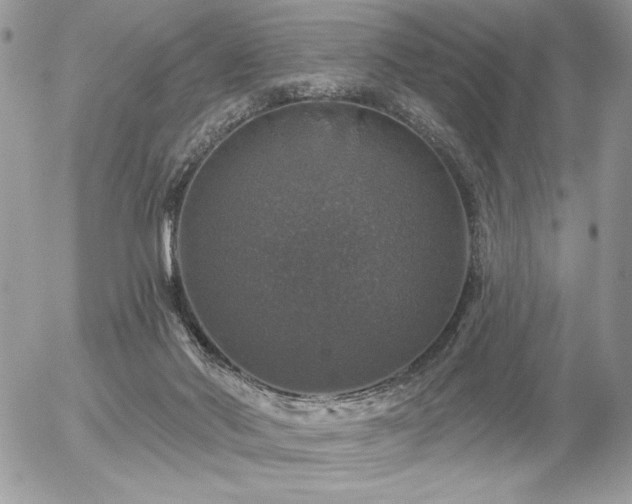 X0000056330022200508261232