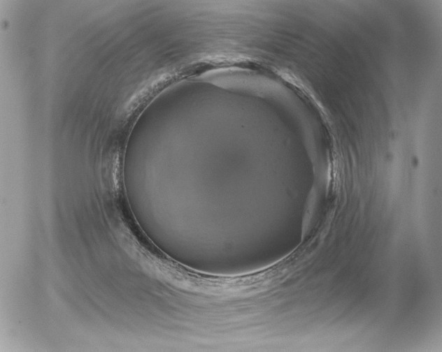 X0000056330023200508261232