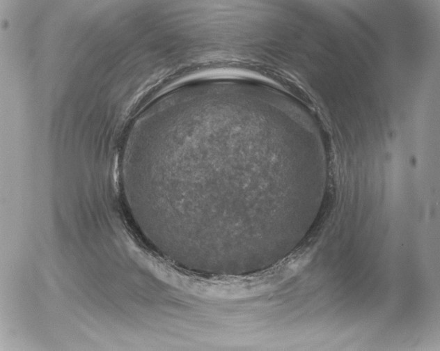 X0000056330024200508261232