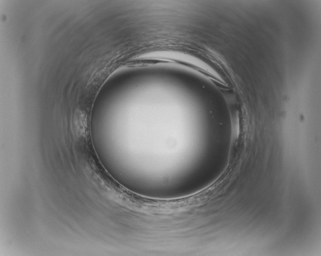 X0000056330025200508261232