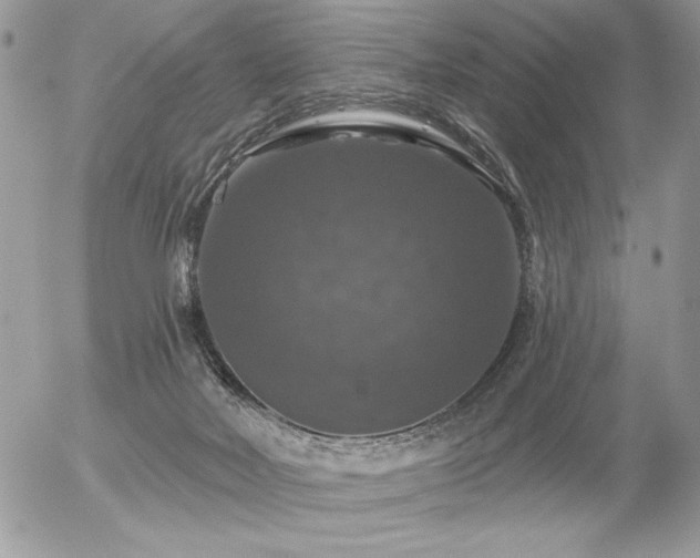 X0000056330026200508261232