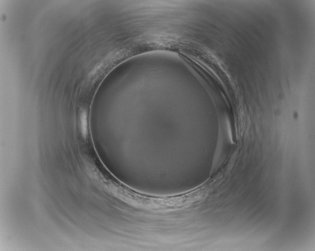 X0000056330027200508261232