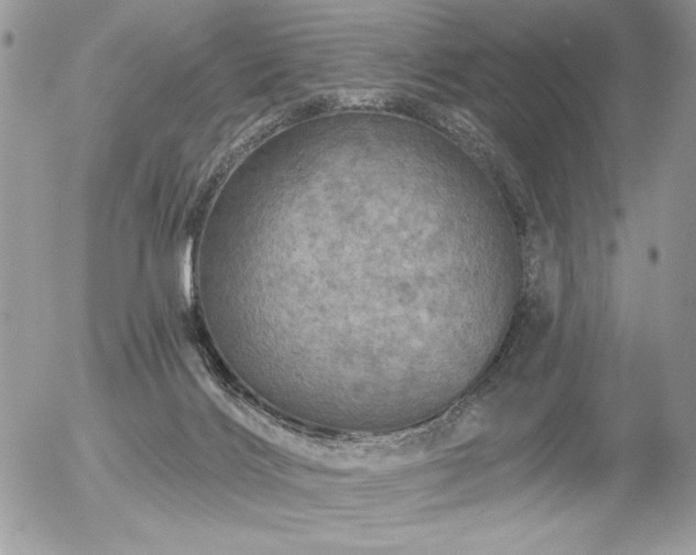 X0000056330028200508261232