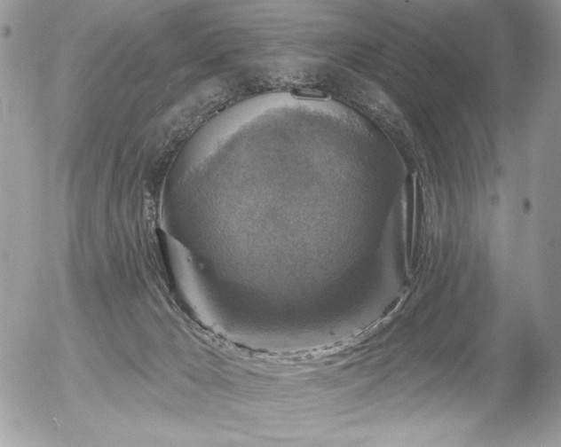 X0000056330029200508261232