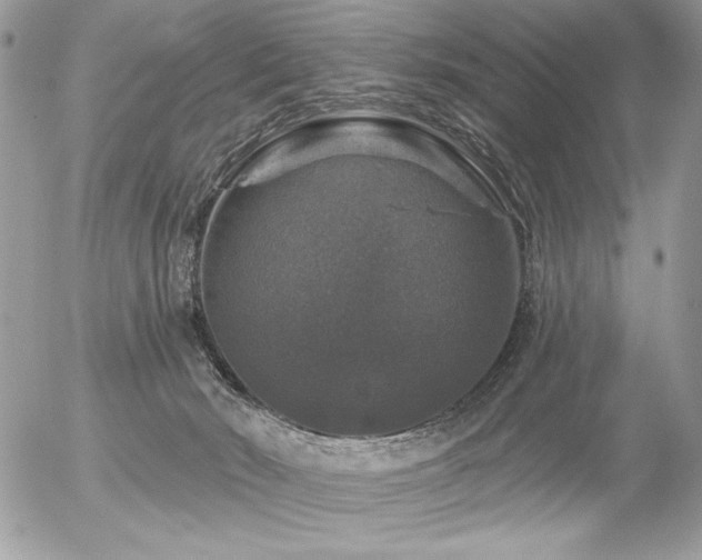 X0000056330030200508261232