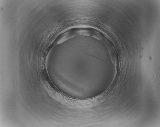 X0000056330031200508261232