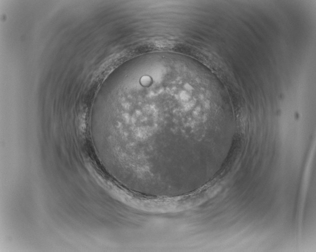 X0000056330032200508261232