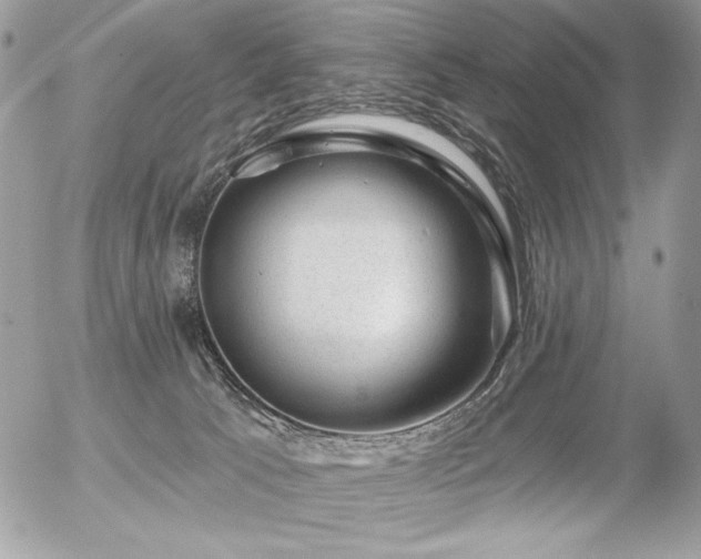 X0000056330033200508261232