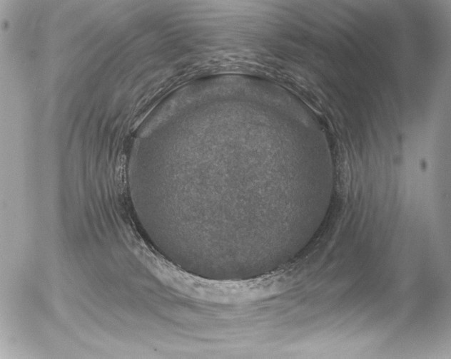 X0000056330034200508261232