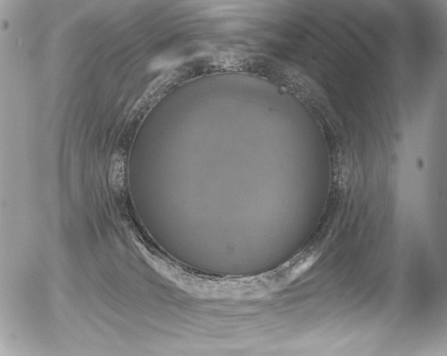 X0000056330036200508261232