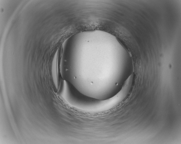 X0000056330037200508261232