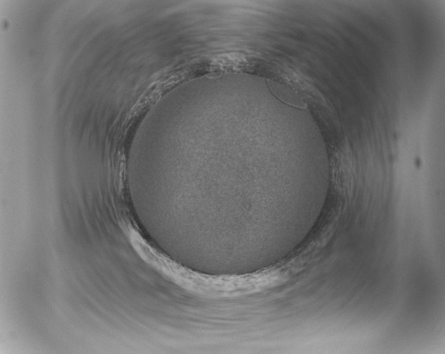 X0000056330038200508261232