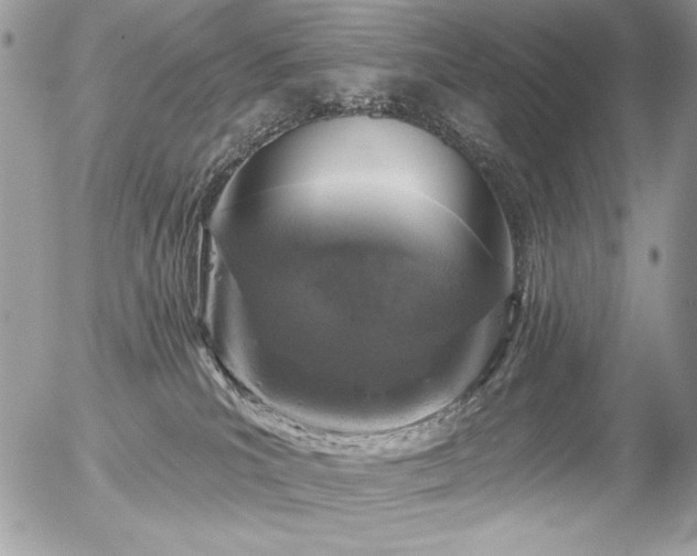 X0000056330039200508261232