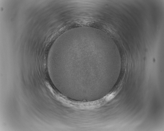 X0000056330040200508261232